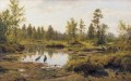 Sumpf polissia Vögel klassische Landschaft Ivan Ivanovich Teich